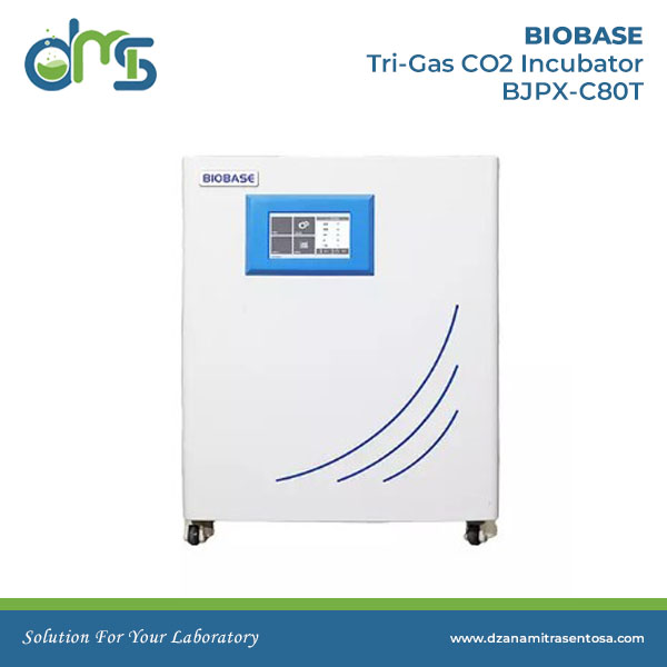 BIOBASE Tri-Gas CO2 Incubator BJPX-C80T